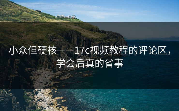 小众但硬核——17c视频教程的评论区,学会后真的省事